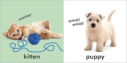 Baby Touch and Feel: Animals