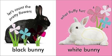 Baby Touch and Feel: Bunny