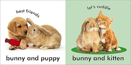 Baby Touch and Feel: Bunny